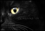In Her Eyes by WickedNox