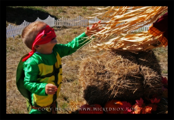 The Magic of Autumn