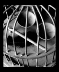 Just an Empty Cage 
