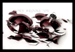 Fragile Things 
