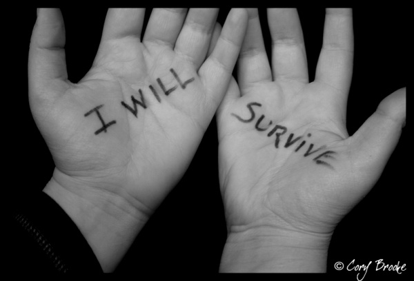 Survivor