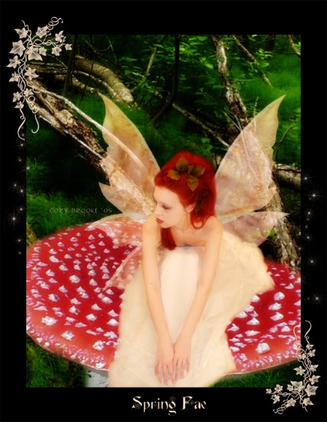   Spring Fae