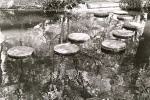 Stepping Stones