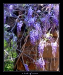 Touch of Nature