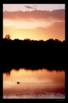 Emphatic Sunset 