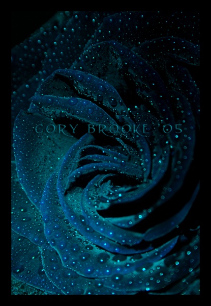 Ride the Spiral 