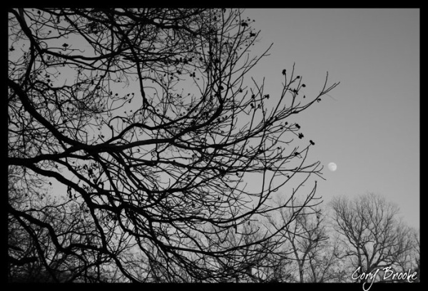 Fell on Black Days