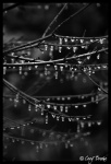 Winter's Tears II