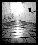 Dallas Skyscraper