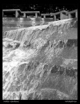 Water Gardens