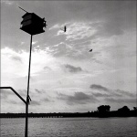 Martins-Lake Palestine