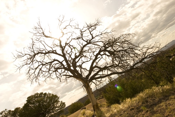 Sunset - Santa Fe, New Mexico