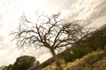 Sunset - Santa Fe, New Mexico