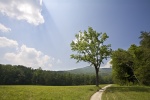 Cades Cove, Tennessee