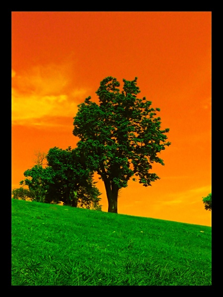 Fire In The Sky