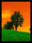 Fire In The Sky