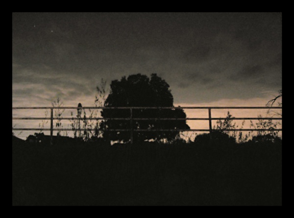 Texas Nights