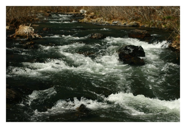 Down the River