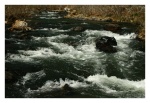 Down the River