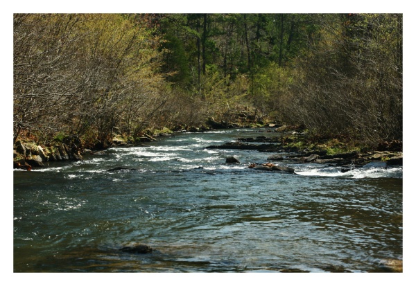 Middle of the Stream