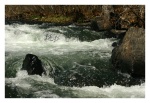 Highlight for Album: Beaver's Bend Resort and State Park, Broken Bow, OK