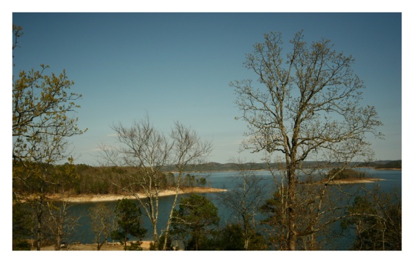 Room with a View