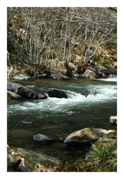 Trout Heaven