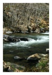 Trout Heaven