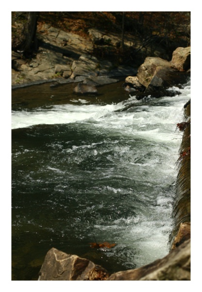 Trout Heaven II