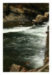 Trout Heaven II