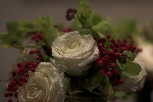 IMG 6453-01