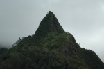 DSC 0655
