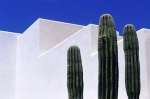 Adobe House 