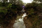 No Caption