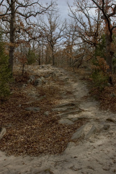On the way up