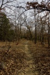 Making a path
