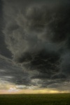 Danger on the Plains