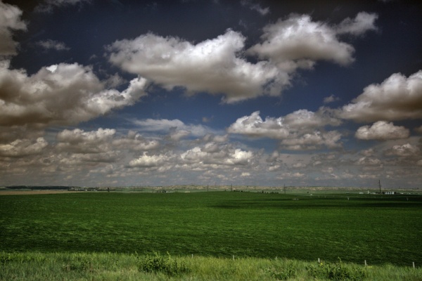 Landscape1 thumb