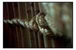 Dec. 21 '02 - Dallas Aquarium - Nervous Rope