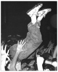 Highlight for Album: the Crowd