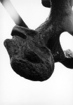 NP006