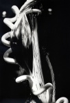 NP008