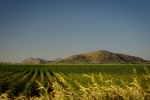 Highlight for Album: Quartz Mountain, OK, September 2010
