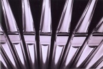 Pipes