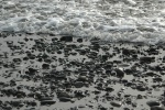DSC 00021