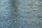 DSC 00051