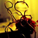 La Fleur