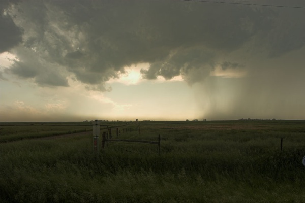 IMG 3772-01