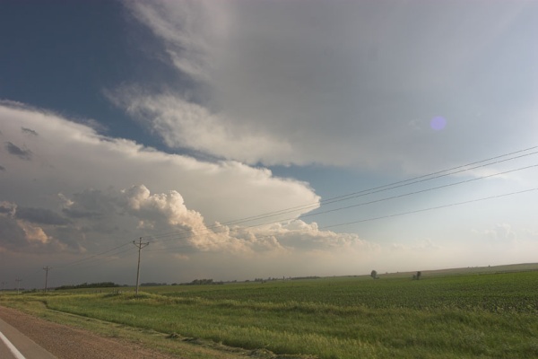 IMG 3778-01