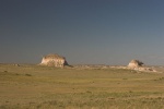 IMG 3953-01
